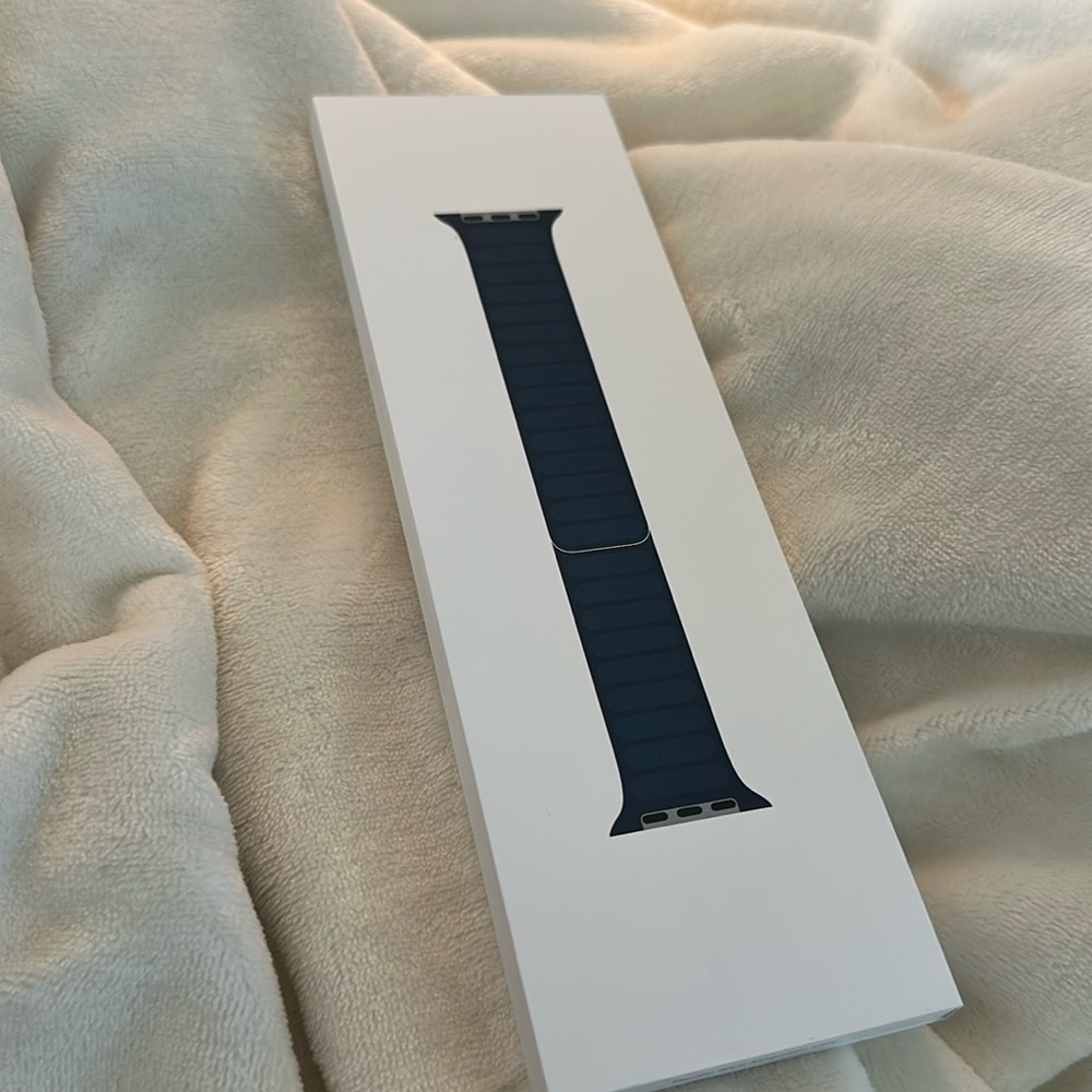 Apple Pacific Blue Magnetic Link Watch Band